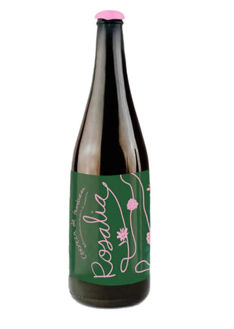 Cerveza Santa Sabina Rosalia Fruit Beer 355 ml