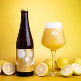 Cerveza Principia Extrasolar Guava NEIPA 355 ml