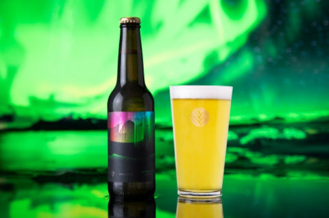 Cerveza Principia Northern Lights | Cold IPA 355 ml