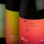 Cerveza Principia Berry Summer Ale 355 ml