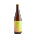Cerveza Principia Guava Summer Ale 355 ml